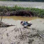 Pencari Belut Ditemukan Tewas Ditengah Sawah