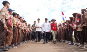 Koridor Satwa, Putus Interaksi Negatif Gajah dan Manusia di Air Sugihan