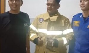 Dramatis, Petugas Damkar di Palembang Evakuasi Anak Kucing Terjebak Bawah Kolong Mesin Motor
