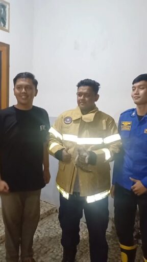 Dramatis, Petugas Damkar di Palembang Evakuasi Anak Kucing Terjebak Bawah Kolong Mesin Motor