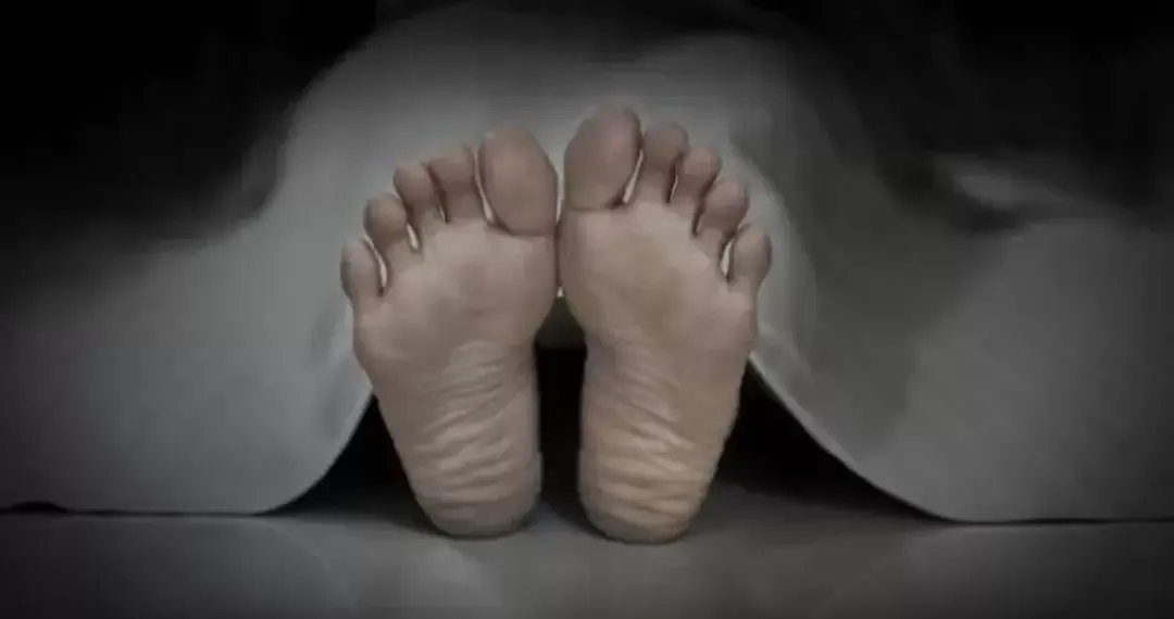 Diduga Korban Pembunuhan, Dua Wanita di Solsel Ditemukan Tak Bernyawa di Kebun Sawit