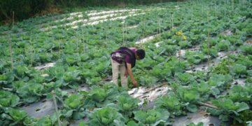 Promosikan Program SDGs Life on Land melalui Workshop Fotografi oleh Prodi Biologi FMIPA UNP dan Mahasiswa KKN Tematik Biologi