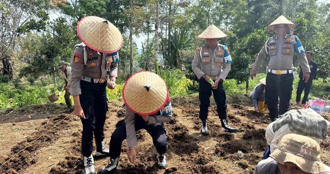 Dukung Ketahanan Pangan, Polda Sumbar Manfaatkan Lahan Produktif di Canduang