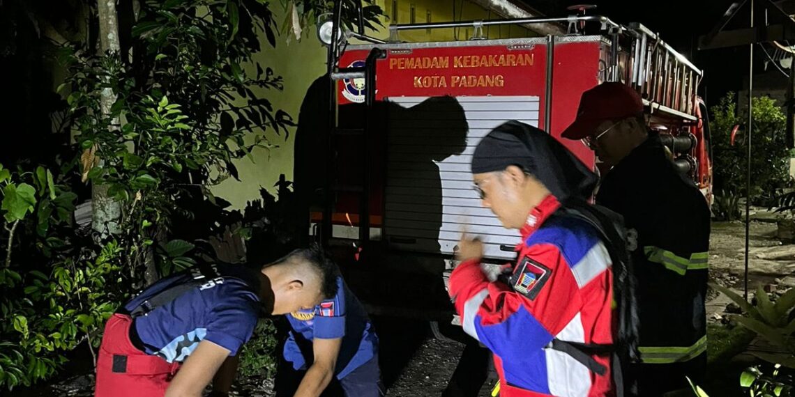 Petugas Damkar Padang Evakuasi Sarang Tawon di Padang