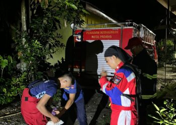 Petugas Damkar Padang Evakuasi Sarang Tawon di Padang