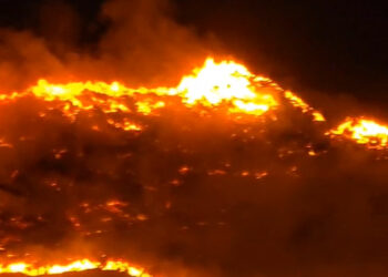 Kebakaran Hutan Dekat Puncak Gagoan, Api Semakin Meluas Karena Hembusan Angin