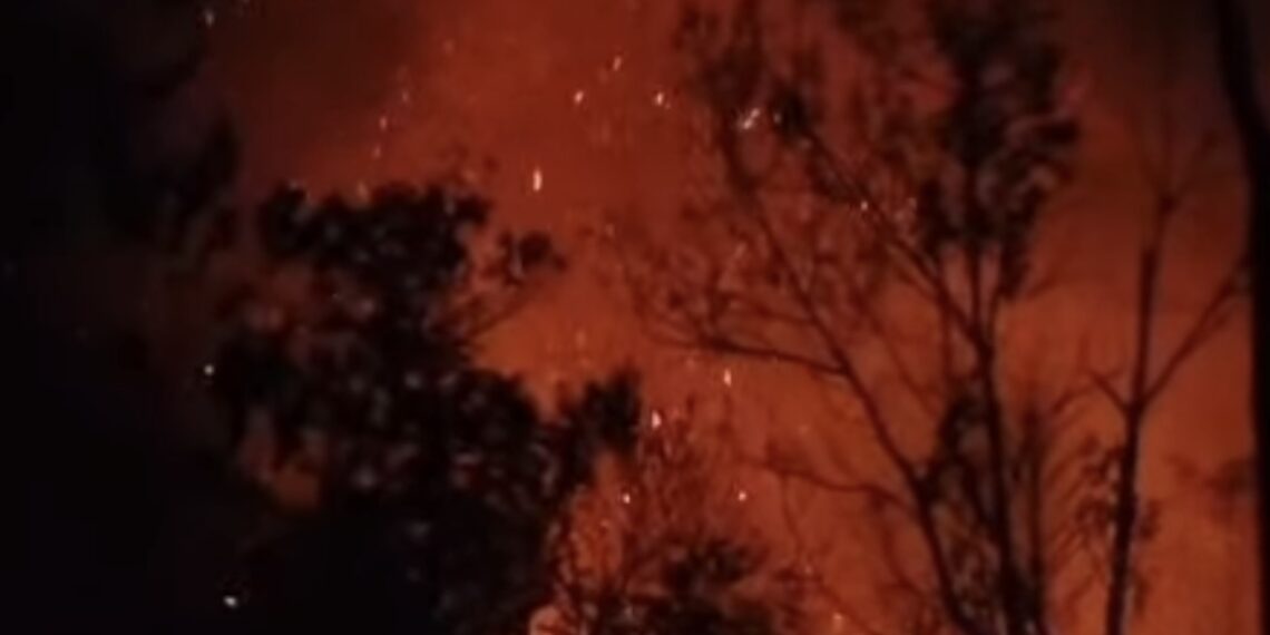 Polres Solok Ingatkan Sanksi Pidana untuk Pelaku Pembakaran Hutan