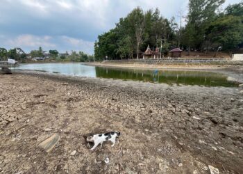 Kemarau Panjang, Danau Pulau Belibis Kota Solok Mengering