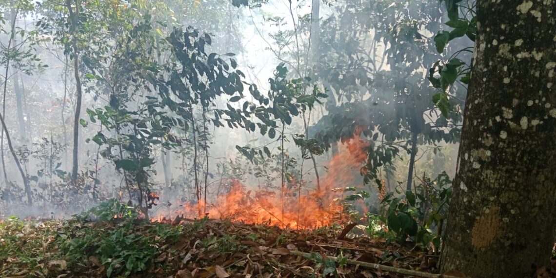 Kebakaran Lahan di Solok, Lima Titik Hangus Dalam Sehari