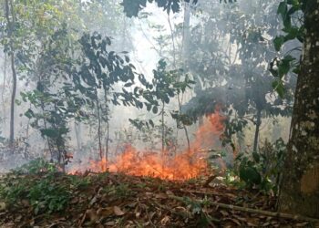 Kebakaran Lahan di Solok, Lima Titik Hangus Dalam Sehari