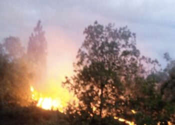 Kebakaran Lahan di Solok, Beruntung Api Tak Meluas ke Pemukiman Warga