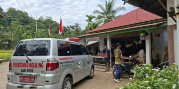 Anjing Liar Teror Warga Padang Pariaman, 11 Orang Terluka, Satu Luka Parah
