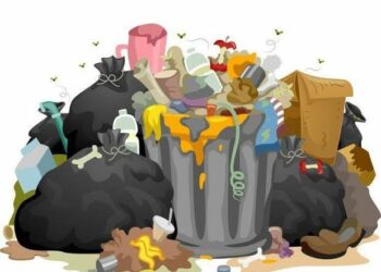 TPA Hampir Penuh, DLH Sebut Kota Solok Butuh TPST untuk Atasi Masalah Sampah