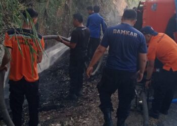 Karhutla Kembali Terjadi di Solok, Damkar Terima Laporan di Tiga Nagari dalam Sehari
