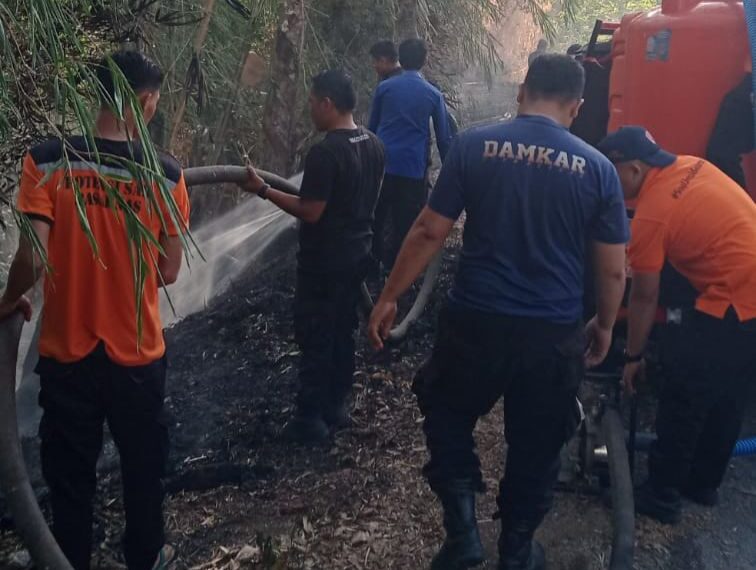 Karhutla Kembali Terjadi di Solok, Damkar Terima Laporan di Tiga Nagari dalam Sehari