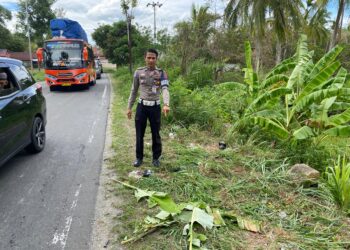Pemotor Asal Pariaman Meninggal Dunia Akibat Tabrakan dengan Pikap saat Menyalip di Solok