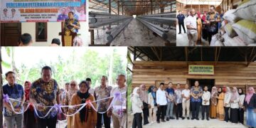 Walikota Resmikan Peternakan Ayam Petelur, Dorong Investasi Lokal dan Dukung Program Makanan Bergizi Gratis