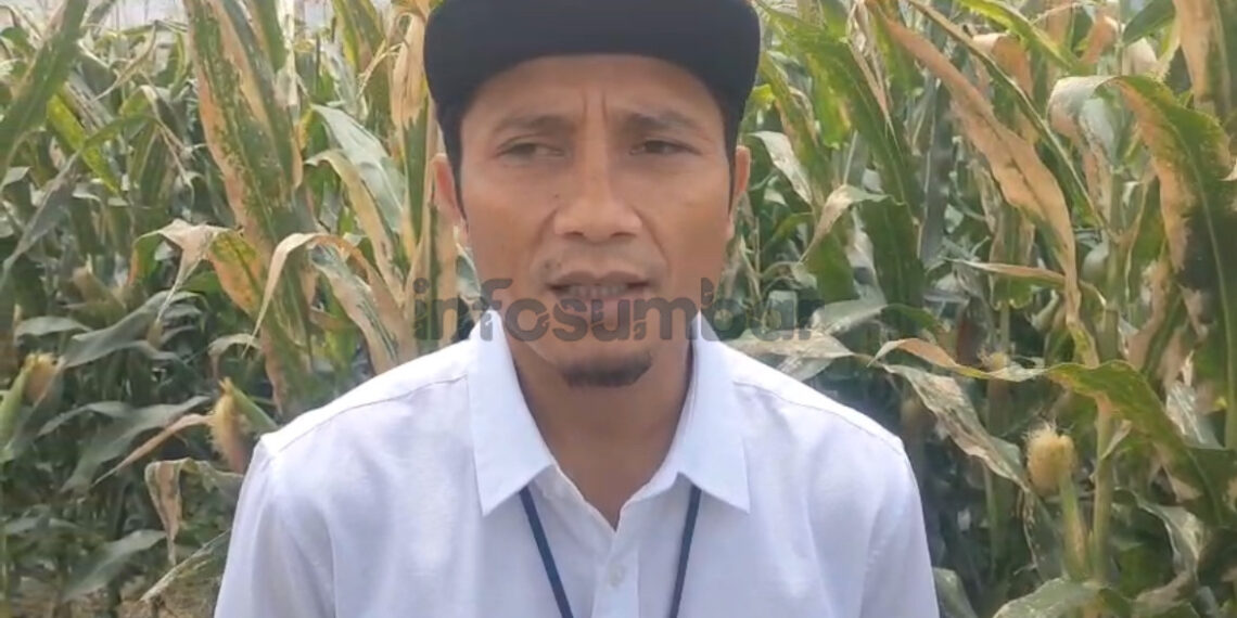 Bulog Pastikan Stok Beras di Sumbar Aman hingga Awal Tahun 2026