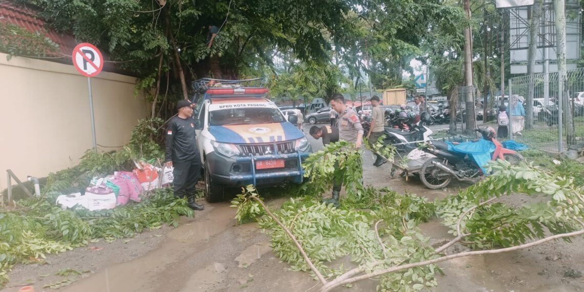 Hujan dan Angin Kencang, Pohon Tumbang Menimpa Kabel Listrik di Padang