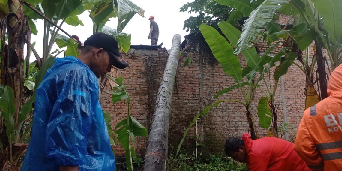 Hujan dan Angin Kencang Terjang Padang, Dua Rumah Warga Rusak Tertimpa Pohon