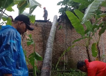 Hujan dan Angin Kencang Terjang Padang, Dua Rumah Warga Rusak Tertimpa Pohon