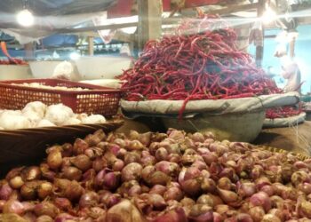 Cabai Merah dan Bawang Merah Penyumbang Inflasi di Sumbar Agustus 2025