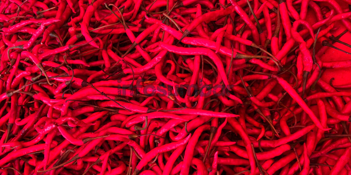 Harga Cabai di Solok Masih Tinggi, Konsumen Terpaksa Berhemat