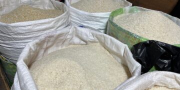 Harga Pupuk Turun 20 Persen, Pemkab Solok Harap Produktivitas Petani Meningkat