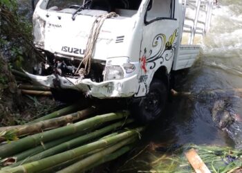 Slip saat Melewati Jembatan, Pikap Bermuatan Bawang Tergelincir ke Sungai di Solok