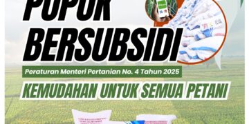Harga Pupuk Subsidi Belum Berubah di Padang Pariaman Pasca Pernyataan Mentan Turunkan Harga 20 Persen