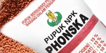Masih Menunggu Arahan Kementan, Dinas Pertanian akan Cek Harga Pupuk di Lapangan