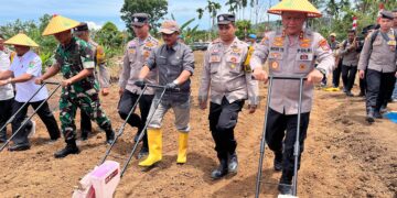 Penanaman Jagung Serentak Kuartal IV, Sumbar Siapkan 106 Hektare Lahan