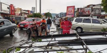 Hujan Disertai Angin Kencang Terjang Kota Solok: Pohon Tumbang, Papan Reklame Timpa Mobil