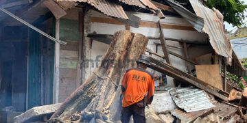 Kondisi Terkini Pasca Angin Kencang di Kota Solok: Listrik Pulih, Sejumlah Titik Masih Dibersihkan