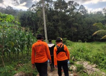 Tim SAR Gabungan Evakuasi Pria Hilang di Hutan Sungai Pagu Solok Selatan