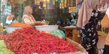 Harga Cabai di Pariaman ‘Terbang Tinggi’ , Pedagang dan Konsumen Sama-Sama Menjerit