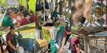 Tim PKM Faterna Unand Latih Peternak di Nagari Sungai Nipah Pessel Produksi Pakan Ayam KUB Berbentuk Pellet