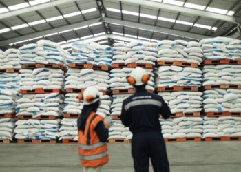 Satu Tahun Pemerintahan Prabowo-Gibran, Pupuk Indonesia Wujudkan Reformasi Tata Kelola Pupuk