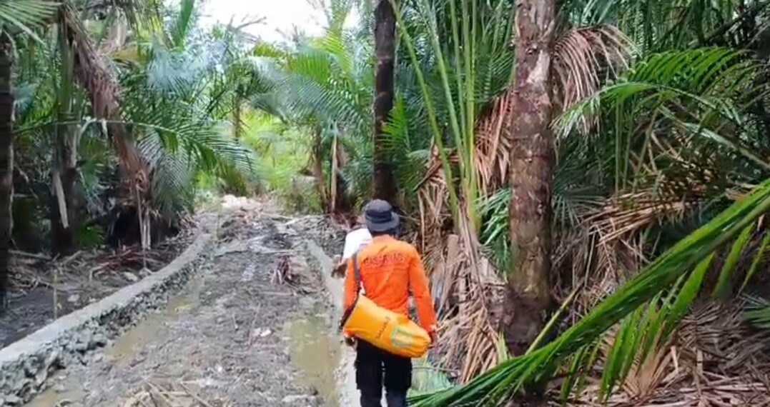 Warga Hilang di Hutan Taileleu, Basarnas Mentawai Gelar Operasi Pencarian