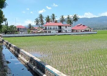 Saluran Irigasi Bocor, Petani di Kota Solok Usulkan Perbaikan untuk Mencegah Gagal Panen