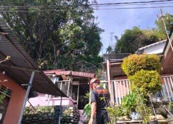 Hujan Disertai Angin Kencang, Pohon Beringin Roboh Timpa Tiga Rumah Warga di Padang