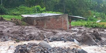 Agam Dihantam Banjir Bandang, Sawah dan Fasilitas Terdampak