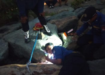 HP Jatuh ke Batu Grip hingga Ular Masuk Rumah, Damkar Padang Bergerak Cepat