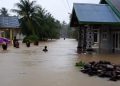 Banjir Tak Kunjung Surut, Warga Kampung Gelapung Dipengungsian Kekurangan Logistik Hingga Dapur Umum