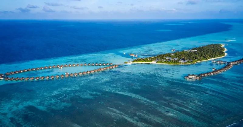 Intern in Food & Beverage at a 5-Star Resort by Accor in Maldives