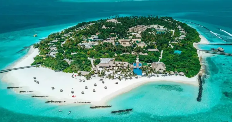 Intern in Food & Beverage at a 5-Star Resort by Emerald Collection in Maldives