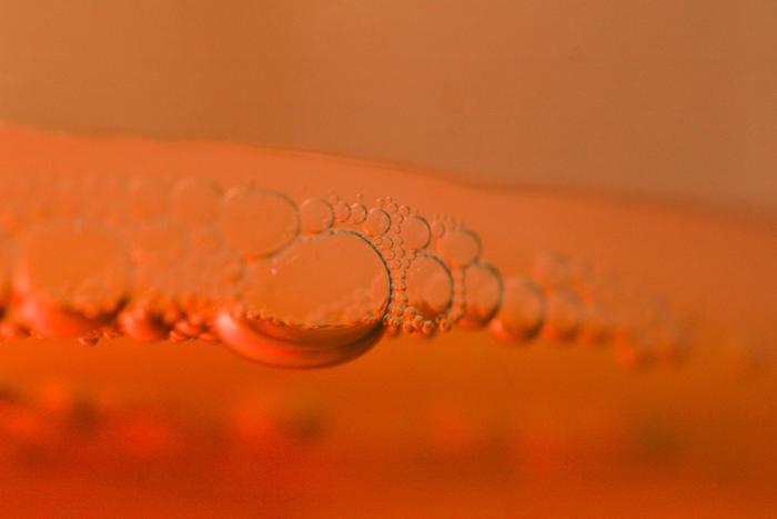 kombucha