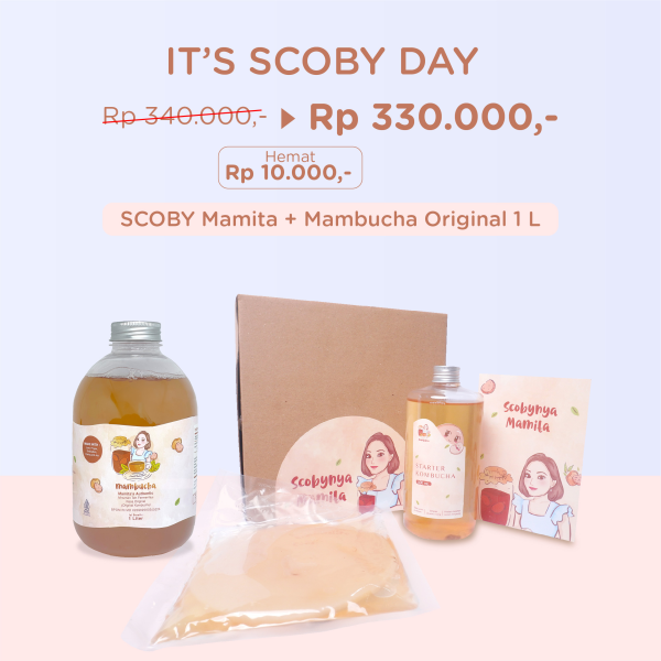 Scoby Mamita & Mambucha Original 1 L Bundle