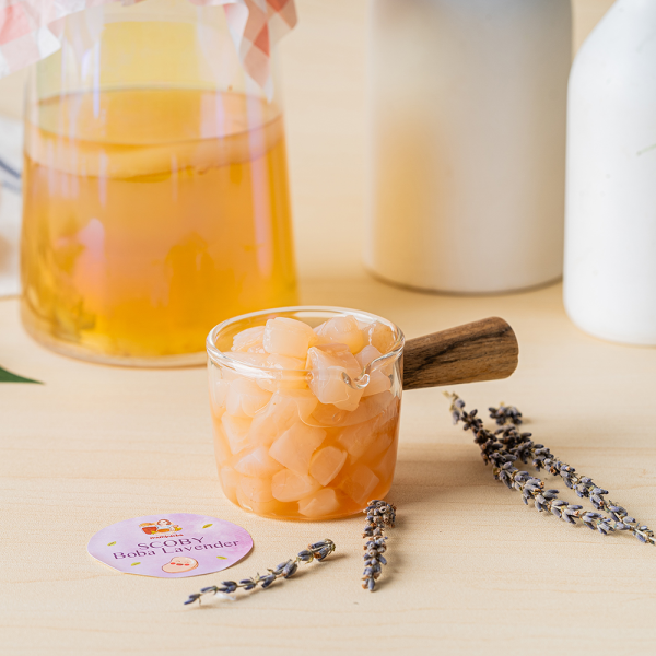 Scoby Boba