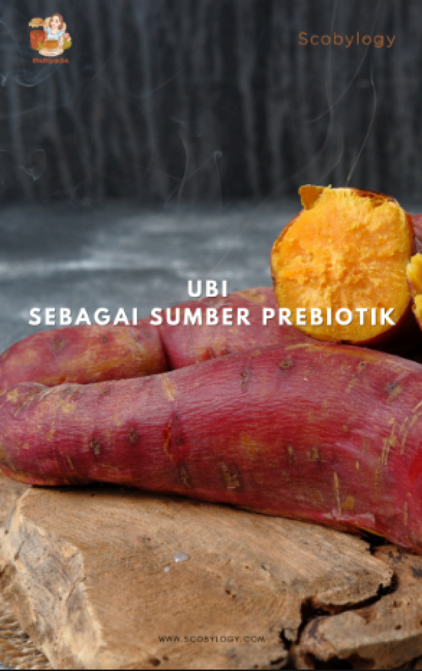 30 Pangan Nabati untuk Kesehatan Kulit (E-Book)